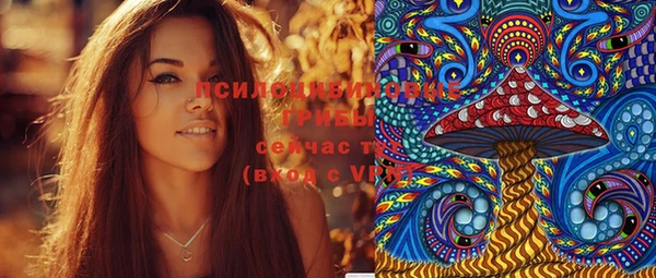 соль ск Елабуга