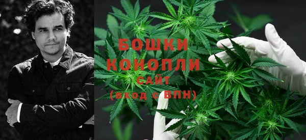соль ск Елабуга