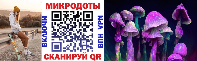 Купить где  Судогда  Псилоцибиновые грибы Psilocybine cubensis 